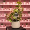 Gietballen voor planten, transparant, 400 ml, 2 stuks - 13 ['gieters', ' bloemen waterdispenser', ' voor het water geven van bloemen', ' bloemenbevochtigers', ' bloemenirrigatie', ' plantenirrigatie', ' potirrigators', ' voor het water geven van bloemen', ' voor kamerplanten', ' irrigatiesysteem', ' gietbal', ' waterdispenser voor potten', ' plantenballen', ' dispenser voor planten', ' planten water geven', ' gietbal']