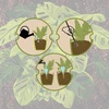 Gieter voor planten, matzwart met keramische voet, 400ml - 5 ['gieters', ' bloemen waterdispenser', ' voor het water geven van bloemen', ' bloemenbevochtigers', ' bloemenirrigatie', ' plantenirrigatie', ' potirrigators', ' voor kamerplanten', ' irrigatiesysteem', ' gietbal', ' waterdispenser voor potten', ' plantenballen', ' plantenwaterdispenser', ' planten water geven', ' zwarte gieters', ' gieters met keramische voet', ' keramische voet', ' gekleurde gieters', ' gieters met kleivoet', ' gieters die van bovenaf gevuld worden', ' van bovenaf gevulde dispensers', ' loftontwerp']
