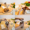 Hamkoker Set - Stevige Hap 1,5 kg - 16 ['recepten met hamkoker', ' uit de hamkoker', ' van de hamkoker', ' gerechten uit de hamkoker', ' hoe werkt een hamkoker', ' ham uit de hamkoker', ' vleeswaren uit de hamkoker', ' hamkoker voor vegetariërs', ' uit de hamkoker voor kinderen', ' gezond vlees', ' gezonde vleeswaren', ' zonder conserveermiddelen', ' ham', ' cadeau', ' hamkoker 1', '5 kg', ' hamkoker 3 kg', ' hamkoker 0', '8 kg', ' accessoires voor hamkoker', ' set met hamkoker']