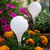 Irrigatieballen voor planten, wit doorschijnend met kurk, 400ml, 4 stuks - 11 ['bloemwaterdispenser', ' voor het water geven van bloemen', ' bloembevochtigers', ' bloemenirrigatie', ' plantenirrigatie', ' potirrigatoren', ' voor het water geven van bloemen', ' voor kamerplanten', ' irrigatiesysteem', ' waterdispenser voor potten', ' plantenballen', ' planten water geven', ' irrigatieballen met kurk']