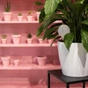Irrigatieballen voor planten, wit doorschijnend met kurk, 400ml, 4 stuks - 12 ['bloemwaterdispenser', ' voor het water geven van bloemen', ' bloembevochtigers', ' bloemenirrigatie', ' plantenirrigatie', ' potirrigatoren', ' voor het water geven van bloemen', ' voor kamerplanten', ' irrigatiesysteem', ' waterdispenser voor potten', ' plantenballen', ' planten water geven', ' irrigatieballen met kurk']