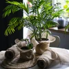 Jute band 10 cm/5 m - 9 ['jute band', ' jute band', ' band voor tomaten', ' band voor komkommers', ' natuurlijke band', ' ecoband', ' band voor binden', ' band voor handwerk', ' jute lint']