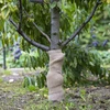 Jute stof 20 cm / 5 m - 5 ['jute stof', ' jute doek', ' stof voor boom bescherming', ' natuurlijke jute stof', ' eco jute stof', ' stof voor binden', ' stof voor handwerk']