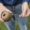 Jute touw 1,5 mm/100 m/100 g - 6 ['jute touw', ' jute koord', ' touw voor tomaten', ' touw voor komkommers', ' natuurlijk touw', ' ecotouw', ' touw voor macramé', ' bindtouw', ' touw voor handwerk']