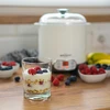 Kaas-yoghurtmaker met thermostaat 1,5 L - 14 ['zelfgemaakte yoghurt', ' voor yoghurt', ' voor kaas', ' veganistische yoghurt', ' Griekse yoghurt', ' ontbijtkazen', ' yoghurtapparaat', ' hoe maak je yoghurt']