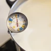 Kaastemperatuurmeter (0°C tot +100°C) 19,8cm - 3 ['kaasmaken', ' kaastemperatuurmeter', ' kaasassortiment']