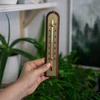 Kamertemperatuurmeter met gouden schaal (-10°C tot +50°C) 22cm, mix - 3 ['binnen thermometer', ' kamertemperatuurmeter', ' thermometer voor binnen', ' huisthermometer', ' thermometer', ' houten kamertemperatuurmeter', ' thermometer met duidelijke schaal', ' thermometer met zilveren schaal', ' thermometer met gouden schaal', ' thermometer om op te hangen', ' traditionele thermometer']