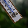 Kamertemperatuurmeter met witte schaal (-30°C tot +50°C) 20cm - 4 ['binnen thermometer', ' kamertemperatuurmeter', ' thermometer voor binnen', ' huiskamertemperatuurmeter', ' thermometer', ' houten kamertemperatuurmeter', ' thermometer met duidelijke schaal', ' thermometer met dubbele schaal']