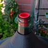Kap-stop voor ballonnen en gistflessen – ø 45 mm - 5 ['kap voor wijnballon', ' stop voor wijnballon', ' stop voor gistfles', ' stop voor wijnkan', ' stop ø 45', ' wijnaccessoires', ' rubberen stop', ' browin stop']