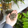 Keramiek voor potplanten, tuinieren en bossen in glas, 4-10 mm, 2L - 10 ['keramiek', ' keramiek voor tuinieren', ' keramiek prijs', ' plantenafvoer', ' afvoer voor planten in de tuin', ' keramiek voor planten', ' keramiek voor grond', ' keramiek voor bossen in glas', ' keramiek voor bossen in pot', ' plantenbewatering', ' hoe de teelt van planten te verbeteren', ' voor huis en tuin', ' plantenverzorging', ' plantenbescherming', ' hoe zorg je voor planten', ' hoe zorg je voor bloemen in de tuin', ' teelt van potbloemen', ' middelen voor plantenteelt', ' substraten voor planten', ' planten in huis', ' planten in de tuin', ' tuiniersadvies', ' bloemen in huis', ' bossen in potten', ' planten in glas', ' plantencomposities in glas']