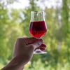 Klarowin - klaringsmiddel 100 g - 2 ['voor het klaren van wijnen en sappen', ' voor witte en roséwijnen', ' voor het verwijderen van troebelheid', ' bentoniet', ' huisgemaakte wijn', ' heldere wijn']