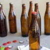 Kroonkurkapparaat "hamer" - 6 ['kroonkurkapparaat', ' kroonkurkapparaat voor flessen', ' tafel kroonkurkapparaat', ' greta kroonkurkapparaat', ' bier kroonkurkapparaat', ' hamer kroonkurkapparaat']