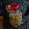 Kunststof dop fi100 TO - 8 ['kunststof dop', ' potdeksel', ' dop fi 100', ' dop met handvat', ' dop met kraag', ' luchtdichte dop', ' voor plastic potten']