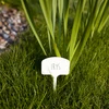 Labels voor plantenbeschrijving + potlood mix 10+20 stuks - 6 ['plantenlabels', ' labels voor plantenbeschrijving', ' voor plantenbeschrijving', ' informatieborden voor planten', ' borden voor planten']