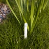 Labels voor plantenbeschrijving + potlood mix 10+20 stuks - 7 ['plantenlabels', ' labels voor plantenbeschrijving', ' voor plantenbeschrijving', ' informatieborden voor planten', ' borden voor planten']