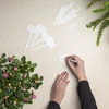 Labels voor plantenbeschrijving + potlood mix 10+20 stuks - 5 ['plantenlabels', ' labels voor plantenbeschrijving', ' voor plantenbeschrijving', ' informatieborden voor planten', ' borden voor planten']