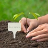 Labels voor plantenbeschrijving + potlood mix 10+20 stuks - 10 ['plantenlabels', ' labels voor plantenbeschrijving', ' voor plantenbeschrijving', ' informatieborden voor planten', ' borden voor planten']