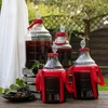 Lichte, onbreekbare wijnballon met handvat, 15 L - 11 ['fermentatiecontainer', ' fermentatievat', ' waarin fermenteren', ' wijnballon', ' bierballon', ' voor fermentatie', ' breedmondballon', ' petballon', ' plastic ballon', ' onbreekbare ballon', ' wijnballon', ' wijnnieuwigheid', ' ballon 15 L', ' fermentor met schroefdop']