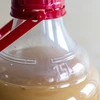 Lichte, onbreekbare wijnballon met handvat, 15 L - 13 ['fermentatiecontainer', ' fermentatievat', ' waarin fermenteren', ' wijnballon', ' bierballon', ' voor fermentatie', ' breedmondballon', ' petballon', ' plastic ballon', ' onbreekbare ballon', ' wijnballon', ' wijnnieuwigheid', ' ballon 15 L', ' fermentor met schroefdop']