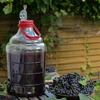 Lichte, onbreekbare wijnballon met handvat, 20 L - 7 ['fermentatiecontainer', ' fermentatievat', ' waarin fermenteren', ' wijnballon', ' bierballon', ' voor fermentatie', ' breedmondballon', ' petballon', ' plastic ballon', ' onbreekbare ballon', ' wijnballon', ' wijnnieuwigheid']