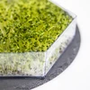 Meerlagige kiemschaal Niezłe Ziółko + 10 verpakkingen zaden - 14 ['gezonde kiemen', ' thuis kiemen kweken', ' veganistisch kiemproduct', ' kiemen kweken thuis', ' kiemschalen', ' kiemschaal voor thuis', ' kiemen kweken', ' zaden om te kiemen', ' kiemschaalset met zaden', ' kiemschaal met zaden', ' kiemschaal met zaadset', ' kiemen', ' kiemen', ' meerlagige kiemschaal', ' kiemschaal']