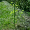 Met PE gecoate stalen stok 1,25m x 11mm - 6 ['stalen plantensteun', ' plantenstok', ' bloemenstok', ' stokken voor potplanten', ' plantenstok castorama']