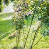 Met PE gecoate stalen stok 1,25m x 11mm - 7 ['stalen plantensteun', ' plantenstok', ' bloemenstok', ' stokken voor potplanten', ' plantenstok castorama']