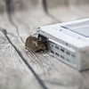 Metalen muizenvanger - levende vangkooi - 7 ['knaagdierenvanger', ' levende vangkooi voor knaagdieren', ' humane methode voor knaagdierbestrijding', ' ecologische knaagdierenvanger', ' bloedloze methode voor knaagdierbestrijding', ' veilige knaagdierenvanger', ' muizen- en rattenvanger', ' ongediertebestrijding zonder gif', ' vanger voor schadelijke knaagdieren', ' knaagdierenvanger voor thuis- en tuingebruik', ' hoekmuizenvanger', ' metalen muizenvanger', ' metalen levende vangkooi']