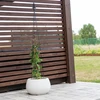 Metalen pergola - Piramide, 135 cm - 4 ['plantensteun', ' voor klimplanten', ' voor rozen', ' voor bonen', ' voor plantenteelt', ' voor rododendrons']