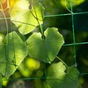 Net voor klimplanten, 1,8 x 5m - 5 ['plantenklimnet', ' klimnet voor planten', ' net voor klimplanten', ' tuinnet', ' net', ' tuinpergola', ' steunen voor planten', ' bloemensteunnet', ' steun voor tuinplanten', ' steun voor klimop', ' flexibele steun voor klimplanten', ' net voor wijnstokken', ' welk net voor klimplanten kiezen', ' verzorgde tuin', ' steunen voor bloemen', ' tuinaccessoires', ' hoe zorg je voor planten', ' aanbevolen netten voor planten', ' duurzaam kunststof net']