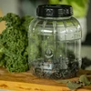Onbreekbare, multifunctionele pot met zwarte deksel, 3L - 10 ['potten voor conserven', ' pot', ' pot voor augurken', ' voor likeuren', ' pot 3 l', ' pot met certificaat', ' onbreekbare pot', ' universele pot', ' multifunctionele pot', ' pot voor conserven', ' plastic pot', ' pot van kunststof']