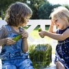 Onbreekbare pot voor inmaken, 3 L - 7 ['ingemaakte augurken', ' ingemaakte bloemkool', ' ingemaakte bieten', ' bietenzuurdesem', ' kunststof pot', ' plastic pot', ' zelfgemaakte ingemaakte groenten', ' pot 3L', ' pot met certificaat voor inmaken', ' pet pot']