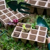 Papieren potten 4 x 4 x 4,5, set van 5 stuks - 6 ['papieren potten', ' papieren pot', ' pot voor zaailingen', ' pot voor kruiden', ' pot voor kruiden', ' hoes van papierpulp', ' papieren hoes', ' potten voor stekken', ' papieren potten voor zaailingen', ' pot voor zaden', ' pot voor zaden']