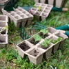 Papieren potten 6 x 6 x 6, set van 5 stuks. - 5 ['papieren potten', ' papieren pot', ' pot voor zaailingen', ' pot voor kruiden', ' pot voor kruiden', ' hoes van papierpulp', ' papieren hoes', ' potten voor stekken', ' papieren potten voor zaailingen', ' pot voor zaden', ' pot voor zaden.']