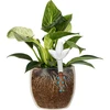 Plantenbesproeier – transparant blad met keramische voet, 120 ml - 6 ['plantenbesproeier', ' besproeier', ' bladvormige besproeier', ' originele besproeier', ' plantenbescherming', ' plantenverzorging', ' bloemenbesproeier', ' besproeiend blad', ' besproeiingsbollen', ' besproeiingsbol', ' designbesproeier', ' hoe zorg je voor planten', ' mooie huisaccessoires', ' designbesproeiers', ' unieke besproeiingsbollen', ' universele besproeier', ' keramische voet', ' keramische besproeier', ' besproeier met keramische voet', ' besproeier voor kleine planten en kamerbloemen']