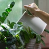 Plantenbesproeier – transparant blad met keramische voet, 120 ml - 8 ['plantenbesproeier', ' besproeier', ' bladvormige besproeier', ' originele besproeier', ' plantenbescherming', ' plantenverzorging', ' bloemenbesproeier', ' besproeiend blad', ' besproeiingsbollen', ' besproeiingsbol', ' designbesproeier', ' hoe zorg je voor planten', ' mooie huisaccessoires', ' designbesproeiers', ' unieke besproeiingsbollen', ' universele besproeier', ' keramische voet', ' keramische besproeier', ' besproeier met keramische voet', ' besproeier voor kleine planten en kamerbloemen']