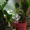 Plantenbesproeier – transparant blad met keramische voet, 120 ml - 9 ['plantenbesproeier', ' besproeier', ' bladvormige besproeier', ' originele besproeier', ' plantenbescherming', ' plantenverzorging', ' bloemenbesproeier', ' besproeiend blad', ' besproeiingsbollen', ' besproeiingsbol', ' designbesproeier', ' hoe zorg je voor planten', ' mooie huisaccessoires', ' designbesproeiers', ' unieke besproeiingsbollen', ' universele besproeier', ' keramische voet', ' keramische besproeier', ' besproeier met keramische voet', ' besproeier voor kleine planten en kamerbloemen']