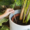 Plantengieter – groen blad, 120 ml - 6 ['plantengieter', ' gieter', ' gieter in de vorm van een blad', ' originele gieter', ' plantenbescherming', ' plantenverzorging', ' bloementuit', ' watergevend blad', ' watergevende bollen', ' watergevende bol', ' design gieter', ' hoe zorg je voor planten', ' mooie huisaccessoires', ' design gieters', ' unieke watergevende bollen', ' universele gieter', ' groene gieter', ' gieter voor kleine planten en kamerbloemen']