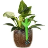 Plantengieter – groen blad, 120 ml - 5 ['plantengieter', ' gieter', ' gieter in de vorm van een blad', ' originele gieter', ' plantenbescherming', ' plantenverzorging', ' bloementuit', ' watergevend blad', ' watergevende bollen', ' watergevende bol', ' design gieter', ' hoe zorg je voor planten', ' mooie huisaccessoires', ' design gieters', ' unieke watergevende bollen', ' universele gieter', ' groene gieter', ' gieter voor kleine planten en kamerbloemen']