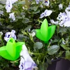 Plantengieter – groen blad, 120 ml - 8 ['plantengieter', ' gieter', ' gieter in de vorm van een blad', ' originele gieter', ' plantenbescherming', ' plantenverzorging', ' bloementuit', ' watergevend blad', ' watergevende bollen', ' watergevende bol', ' design gieter', ' hoe zorg je voor planten', ' mooie huisaccessoires', ' design gieters', ' unieke watergevende bollen', ' universele gieter', ' groene gieter', ' gieter voor kleine planten en kamerbloemen']