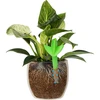 Plantengieter – groen blad met keramische voet, 120 ml - 6 ['plantengieter', ' gieter', ' gieter in de vorm van een blad', ' originele gieter', ' plantenbescherming', ' plantenverzorging', ' bloementuit', ' watergevend blad', ' watergevende bollen', ' watergevende bol', ' design gieter', ' hoe zorg je voor planten', ' mooie huisaccessoires', ' design gieters', ' unieke watergevende bollen', ' universele gieter', ' groene gieter', ' gieter voor kleine planten en kamerbloemen', ' keramische voet', ' keramische gieter', ' gieter met keramische voet']