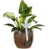 Plantengieter – transparant blad, 120 ml - 5 ['plantengieter', ' gieter', ' gieter in de vorm van een blad', ' originele gieter', ' plantenbescherming', ' plantenverzorging', ' bloemen gieter', ' watergevend blad', ' watergevende bollen', ' watergevende bol', ' design gieter', ' hoe zorg je voor planten', ' mooie huisaccessoires', ' design gieters', ' unieke watergevende bollen', ' universele gieter', ' transparante gieter', ' gieter voor kleine planten en potbloemen']