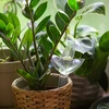Plantengieter – transparant blad, 120 ml - 7 ['plantengieter', ' gieter', ' gieter in de vorm van een blad', ' originele gieter', ' plantenbescherming', ' plantenverzorging', ' bloemen gieter', ' watergevend blad', ' watergevende bollen', ' watergevende bol', ' design gieter', ' hoe zorg je voor planten', ' mooie huisaccessoires', ' design gieters', ' unieke watergevende bollen', ' universele gieter', ' transparante gieter', ' gieter voor kleine planten en potbloemen']