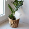 Plantengieter - wit bord met keramische voet, 200 ml - 9 ['plantengieter', ' gieter', ' gieter in de vorm van een bord', ' originele gieter', ' plantenbescherming', ' plantenverzorging', ' bloementuit', ' waterbord', ' gietballen', ' gietbal', ' designgieter', ' hoe zorg je voor planten', ' mooie huisaccessoires', ' designgieters', ' unieke gietballen', ' universele gieter', ' keramische voet', ' keramische gieter', ' gieter met keramische voet']
