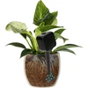 Plantengieter – zwart bord, 200 ml - 6 ['plantengieter', ' gieter', ' gieter in de vorm van een bord', ' originele gieter', ' plantenbescherming', ' plantenverzorging', ' bloemen gieter', ' waterbord', ' waterballen', ' waterbal', ' design gieter', ' hoe zorg je voor planten', ' mooie huisaccessoires', ' design gieters', ' unieke waterballen', ' universele gieter']