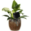 Plantengieter – zwart bordje met keramische voet, 200 ml - 6 ['plantengieter', ' gieter', ' gieter in de vorm van een bordje', ' originele gieter', ' plantenbescherming', ' plantenverzorging', ' bloementuit', ' waterbordje', ' gietballen', ' gietbal', ' design gieter', ' hoe zorg je voor planten', ' mooie huisaccessoires', ' design gieters', ' unieke gietballen', ' universele gieter', ' keramische voet', ' keramische gieter', ' gieter met keramische voet']