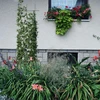 Plantensteun - tuinscherm 150 x 45cm - 4 ['plantensteun', ' struiksteun trellis', ' tuinsteun', ' tuinscherm', ' plantenrek', ' plantsteun', ' bloemensteun', ' tuinplantensteun', ' klimopsteun', ' stalen steun', ' steun met muurbevestiging', ' klimplantensteun', ' rozenstruiksteun', ' zwarte steun', ' welke plantensteun kiezen', ' verzorgde tuin', ' klimplantenrek', ' rozensteun', ' klimopsteun', ' voor rozenstruiken', ' metalen bloemensteunen', ' tuinaccessoires', ' hoe zorg je voor planten', ' aanbevolen plantensteunen', ' trellisvormige steun', ' muurbevestigde steun']