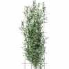 Plantensteun – tuinscherm 150 x 60cm - 3 ['plantensteun', ' struiksteun traliewerk', ' tuinsteun', ' tuinscherm', ' plantenrek', ' plantsteun', ' bloemensteun', ' tuinplantensteun', ' klimopsteun', ' stalen steun', ' steun met muurbevestiging', ' klimplantsteun', ' rozenstruiksteun', ' zwarte steun', ' welke plantensteun kiezen', ' verzorgde tuin', ' klimplantenrek', ' rozensteun', ' klimopsteun', ' voor rozenstruiken', ' metalen bloemensteunen', ' tuinaccessoires', ' hoe zorg je voor planten', ' aanbevolen plantensteunen', ' tralievormige steun', ' muurbevestigde steun']