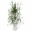 Plantensteun - versmalde tuintrellis 150 x 75cm - 3 ['plantensteun', ' struiksteun trellis', ' tuinsteun', ' tuinpergola', ' plantentrellis', ' plantsteun', ' bloemensteun', ' tuinplantsteun', ' klimopsteun', ' stalen steun', ' steun met muurbevestiging', ' klimplantsteun', ' rozenstruiksteun', ' zwarte steun', ' welke plantensteun kiezen', ' verzorgde tuin', ' klimplantentrellis', ' rozensteun', ' klimopsteun', ' voor rozenstruiken', ' metalen bloemensteunen', ' tuinaccessoires', ' hoe zorg je voor planten', ' aanbevolen plantensteunen', ' trellisvormige steun', ' muurbevestigde steun']