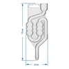 Plastic fermentatiebuis, 6-kamer - 3 ['fermentatiebuis', ' onbreekbare fermentatiebuis', ' plastic fermentatiebuis', ' grote fermentatiebuis', ' buis voor fermentatie', ' buis voor wijn', ' buis voor stellingen', ' buis voor inmaken', ' 6-kamer browin buis', ' fermentatiebuizen']